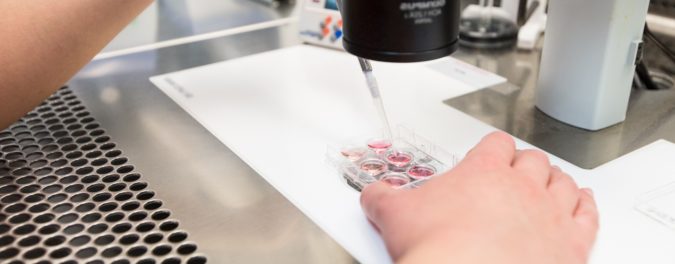 криоконсервация яйцеклеток